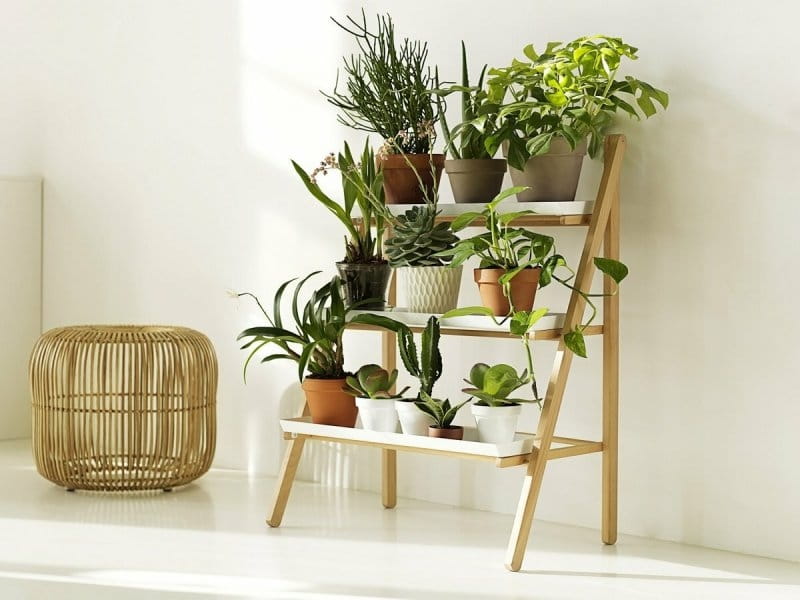 10 Amazing Indoor Plant Stand Ideas for Every Type of Home - Paisley +  Sparrow - Plant stand indoor, Garden plant stand, Plant decor indoor