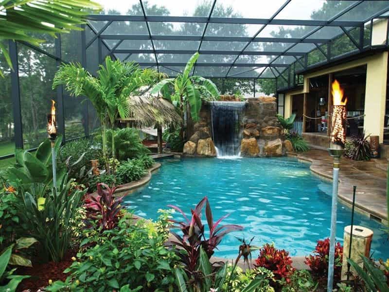 10 Tropical Backyard Ideas - Design a Tropical Landscape at Home - Proven  Winners
