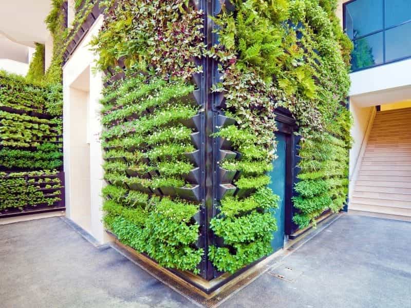 12 Astonishing Indoor Wall Garden Ideas For More Home Fresh - DEXORATE - Garden  wall designs, Vertical garden indoor, Wall garden
