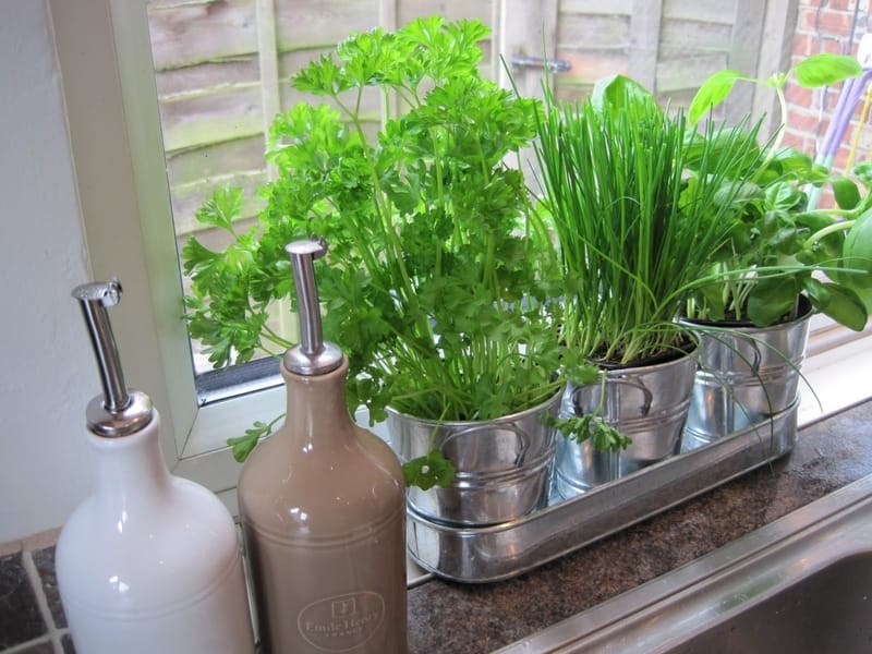 15 Easy DIY Herb Garden Ideas - Patio herb garden, Herb garden design, Diy herb  garden