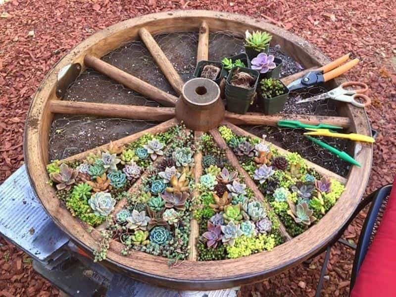 16 Container Gardening Ideas - Potted Plant Ideas We Love
