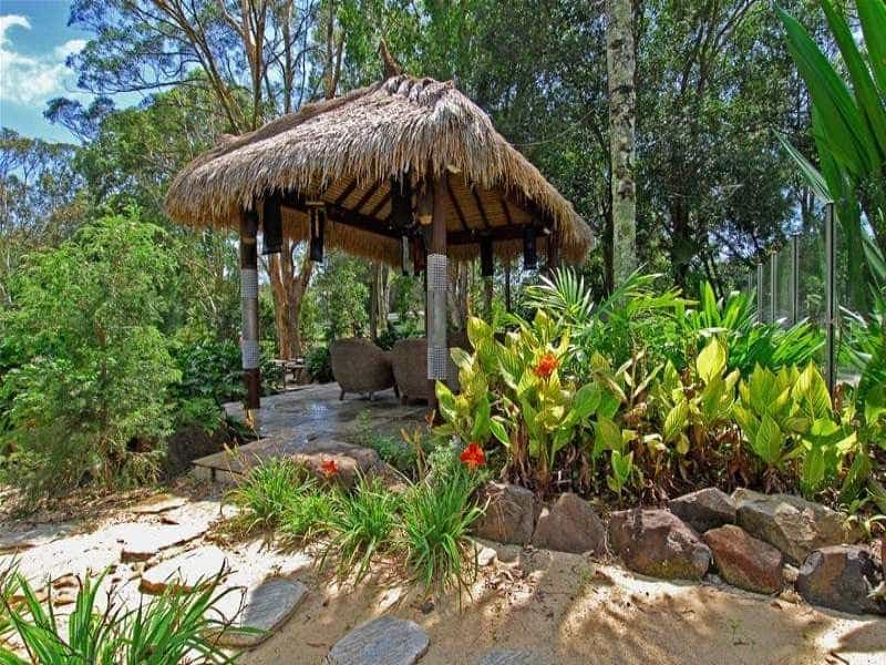 19 Tropical gardens and plants ideas - plants, tropical garden, planting  flowers