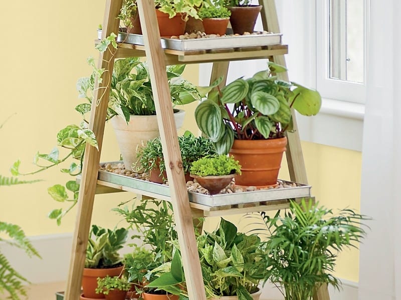 20 Amazing DIY Plant Stand Ideas for Your Home - The Handyman's Daughter
