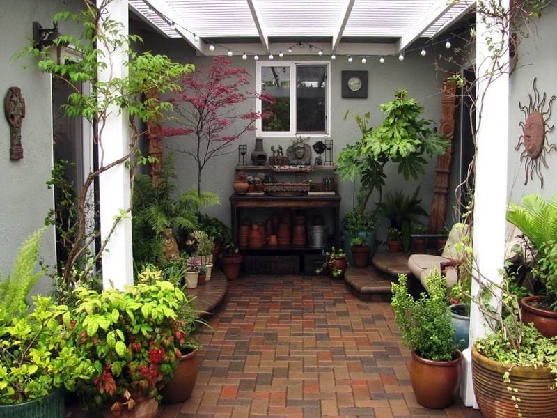 20 Beautiful Patio Plant Ideas For A Lush Outdoor Space - DIY Morning