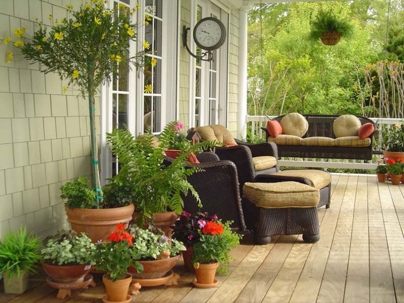 20 Best Patio Plants - Lush Plants for Decks and Patios