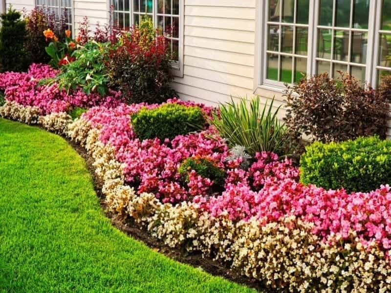 20 Best Small Flower Garden Ideas 2021 - YouTube