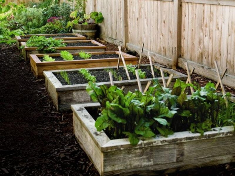 20 Brilliant Raised Garden Bed Ideas You Can Make In A Weekend - Making  Lemonade