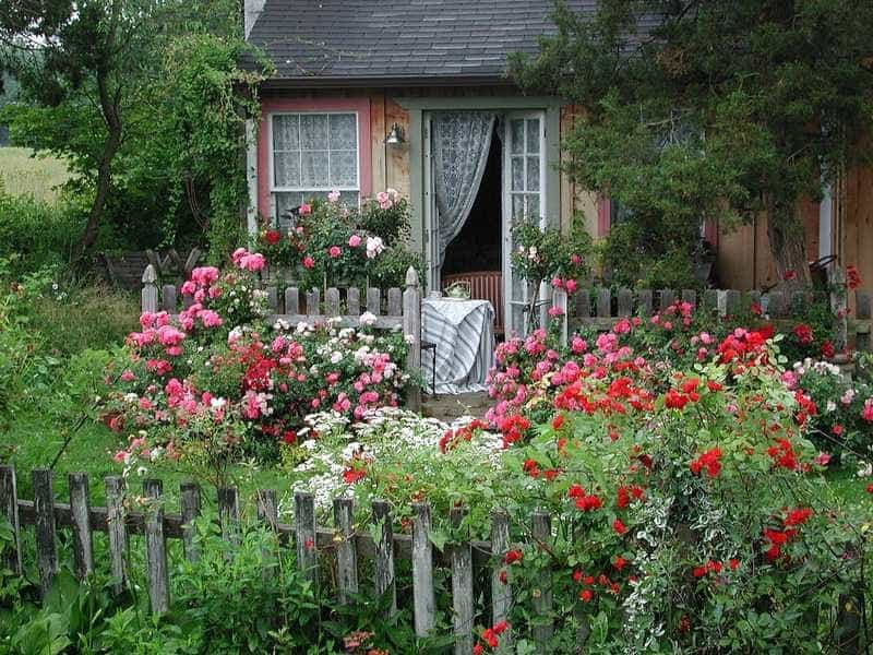 25 Cottage Style Garden Ideas - fancydecors - Cottage garten,  Gartengestaltung, Garten grundriss