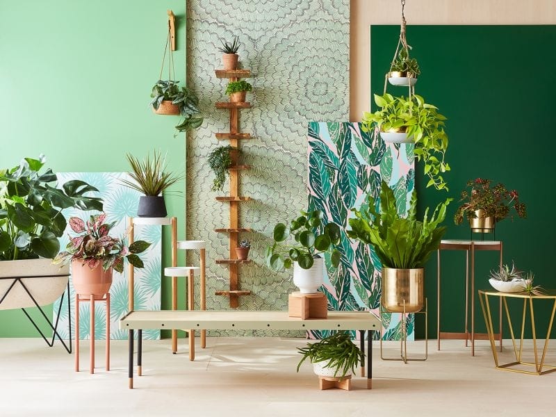 30+ DIY Plant Stand Ideas for Indoors  Outdoors