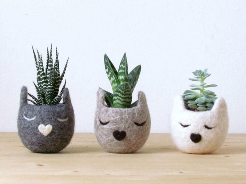 35 Best Gifts for Plant Lovers - Unique Plant Gift Ideas 2021