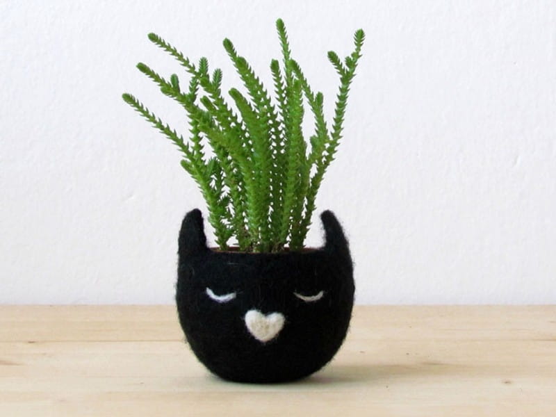 40 Best Gifts for Plant Lovers - Cute Plant Gift Ideas 2021