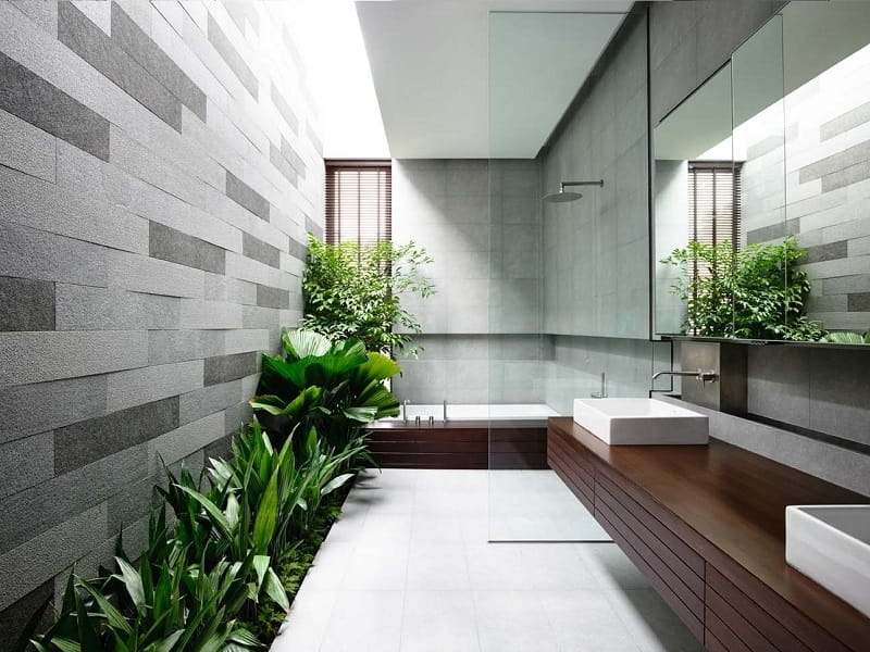 4 Best Bathroom Plants - Find a Perfect Plant for Your Bathroom