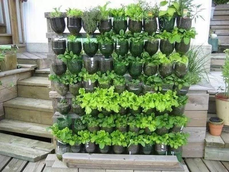 60 DIY Vertical Garden Ideas for Small Spaces - Prudent Penny Pincher