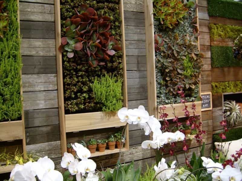 6 Verdant and Wonderful Ideas for Vertical Gardens - Organic Authority
