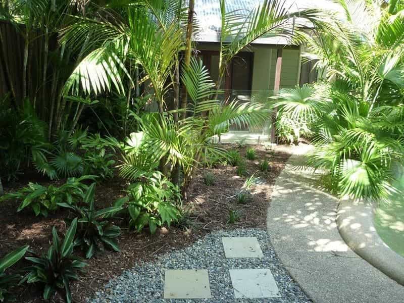 75 Beautiful Tropical Garden Ideas  Designs - January 2022 - Houzz AU
