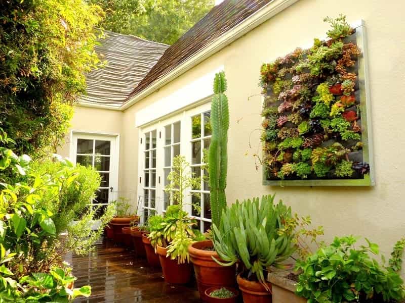 75 Beautiful Vertical Garden Pictures  Ideas - January, 2022 - Houzz