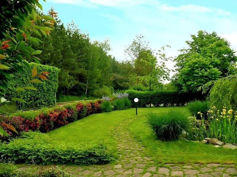 9 Cottage Style Garden Ideas - Gardening Ideas