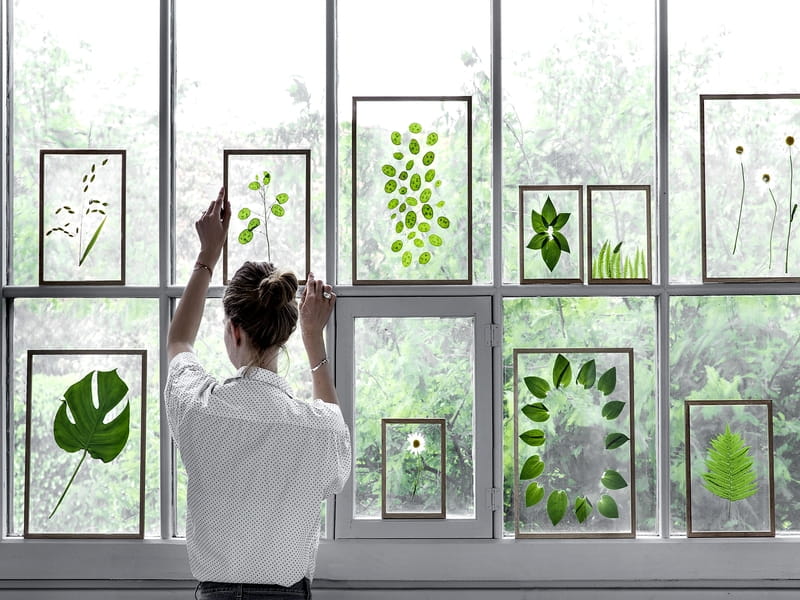 9 Fantastic Gifts for Plant Lovers in 2022 - Reviews by Wirecutter