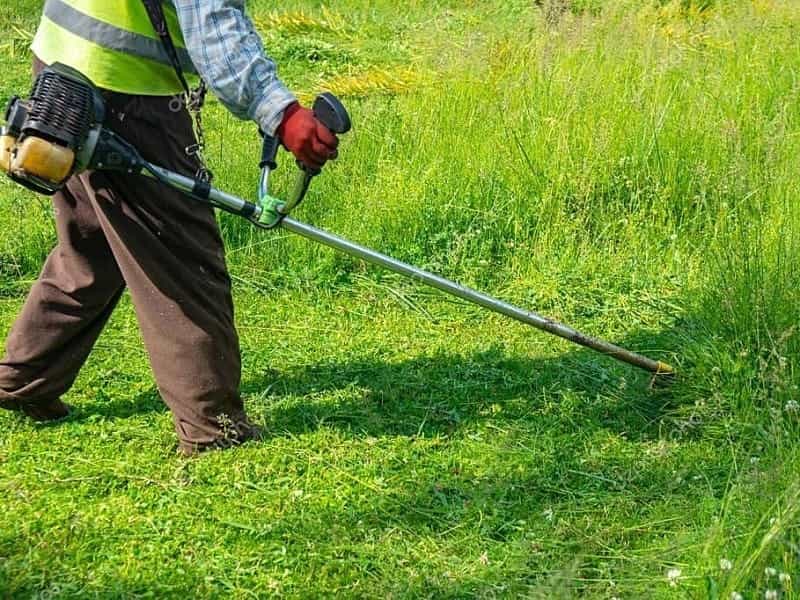 A Grass Cutter Machine On The Grassplot. Stock Photo, Picture And Royalty  Free Image. Image 15053136.