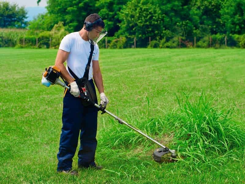 Aimex Heavy Duty Petrol Brush Cutter, Grass Cutter with 52Cc  Displacement-1650W- Buy Online in Moldova at moldova.desertcart.com.  ProductId : 107084635.