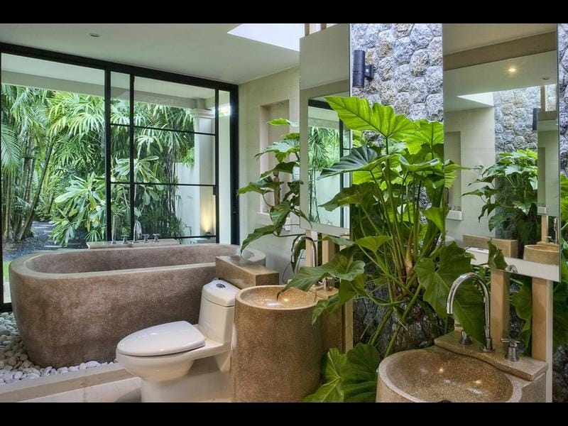 Amazing Bathroom Plant Ideas