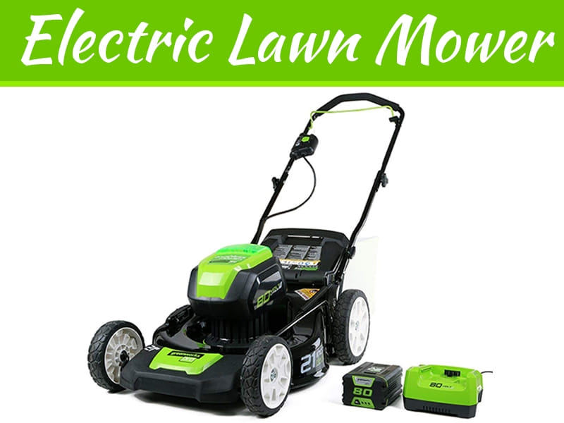 American Lawn Mower Company 50514 14-Inch 11-Amp Corded Electric Lawn Mower,  Black : Amazon.ca: Patio, Lawn  Garden