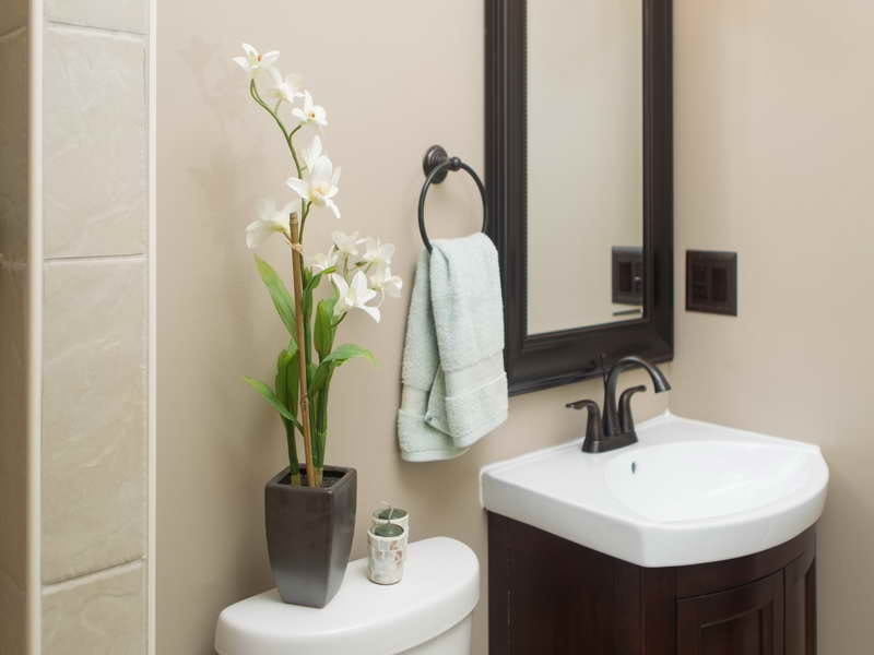 Bathroom Plants – 22 Best Plants For Your Bathroom
