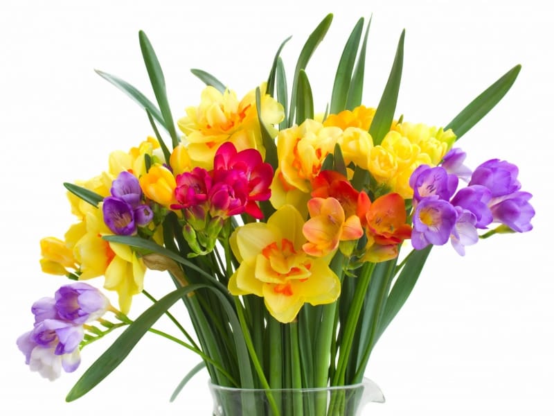 Beautiful bouquet freesia flowers Stock Photo - Alamy