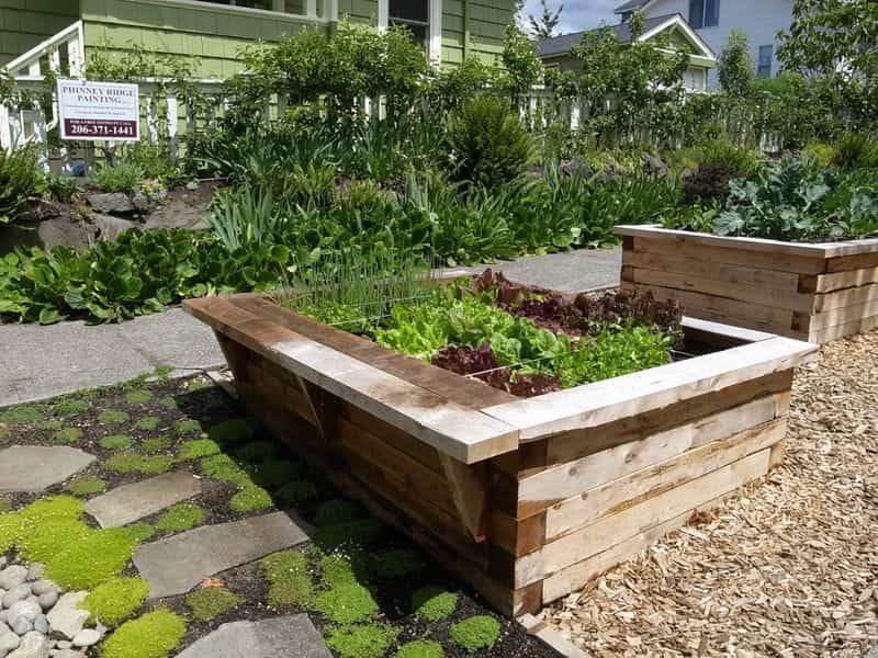 Be aware of the Top- 10 raised garden bed on patio before you shop around