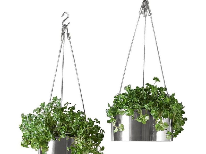 Best Plants For Hanging Planters - POPSUGAR Home