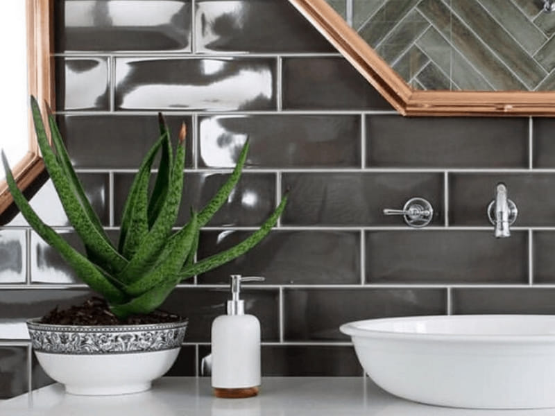 Best Plants That Suit Your Bathroom - Fresh Decor Ideas