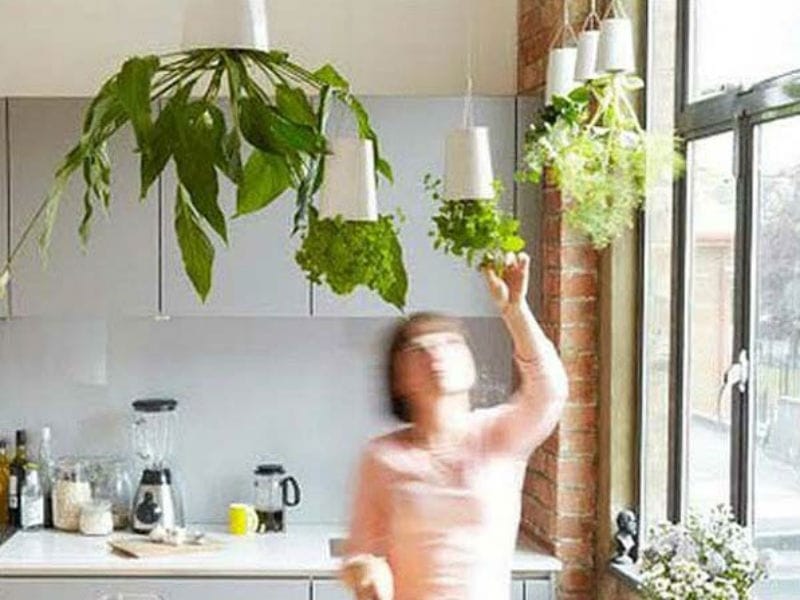 Bolty – Hanging planter system for plant pots - Botanopia