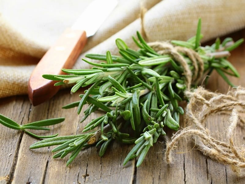 Coastal Rosemary - Latin Name - Westringia Fruticosa Stock Photo, Picture  And Royalty Free Image. Image 119110871.