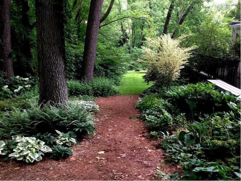 Creative Woodland garden ideas - YouTube