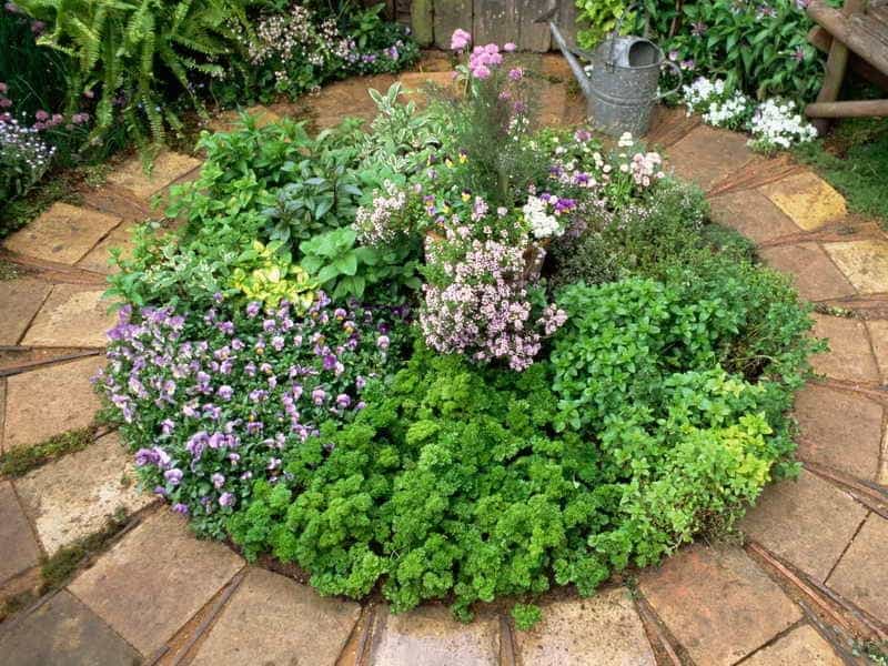 DIY Herb Garden Ideas for Indoor  Outdoor Decor • K4 Craft