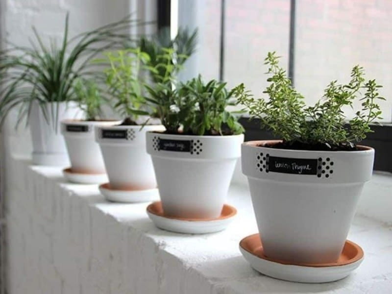 Easy Painted Flower Pot Ideas You Can Do Right Now - The DIY Nuts