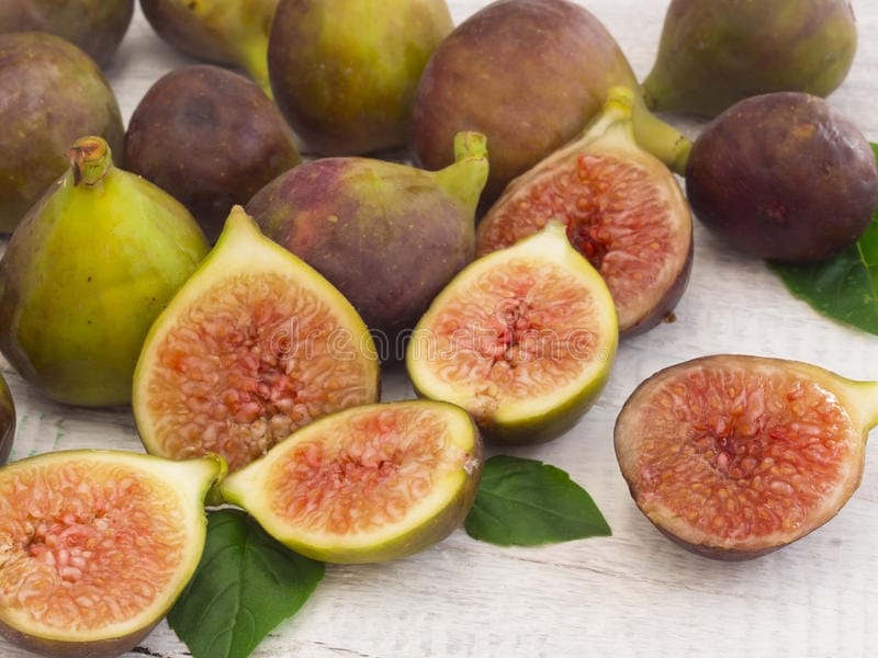 Ficus (Fig) Carica (Green Fig) - Dobies