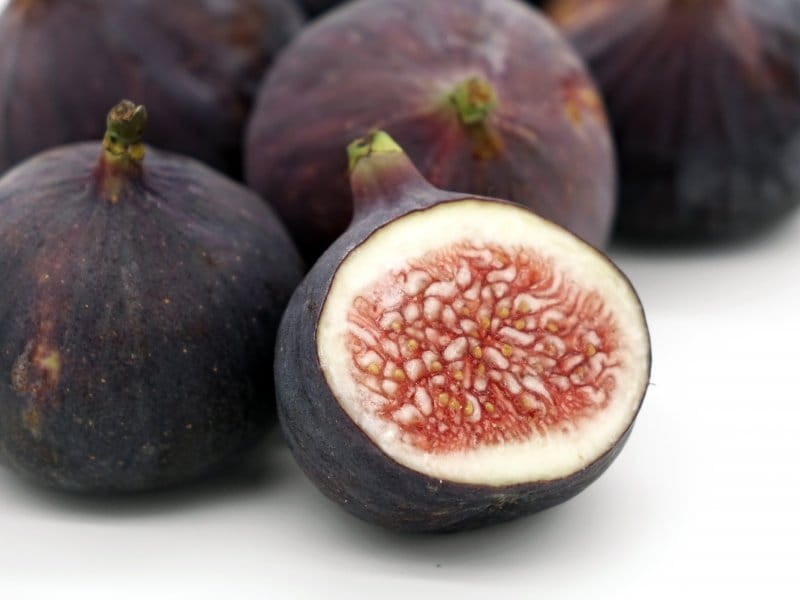 Fig Tree Fruit Common Fig Ficus Carica Seeds 25 PCS- Buy Online in India at  Desertcart - 69754862.