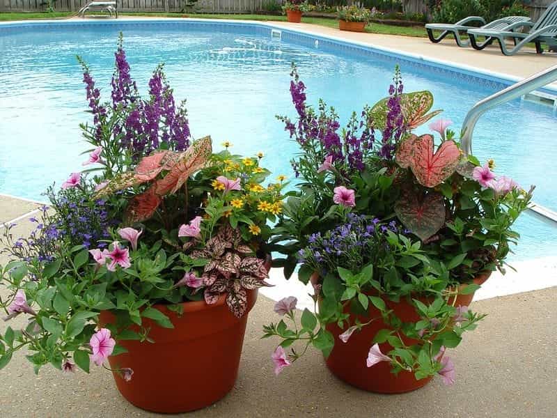 Flower Pot Ideas - RC Willey Blog