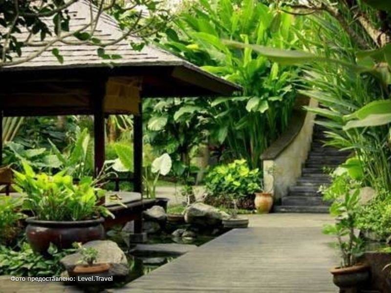 From Chicago Landscaping to Florida's Tropical Paradise - Botanical  Concepts Chicago