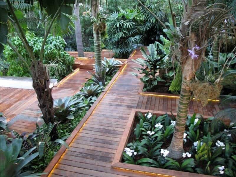 Garden Design by Post: a Modern Tropical Garden in Devon