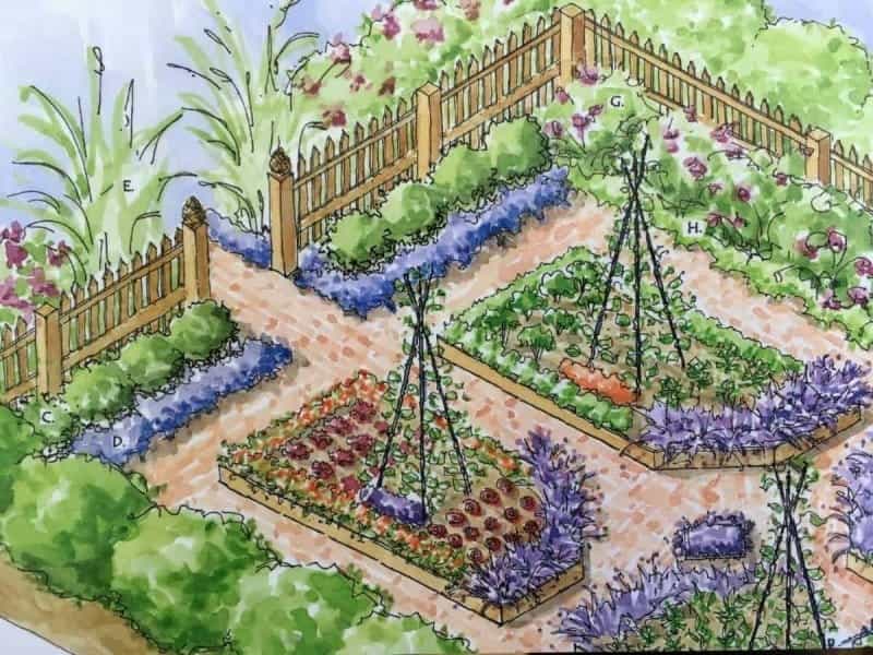 Garden Planning  Garden Design: 500 Ideas  Professional Plans for  Fantastic, Easy Garden Improvement: McHoy, Peter, Evelegh, Tessa:  9781780191263: Amazon.com: Books