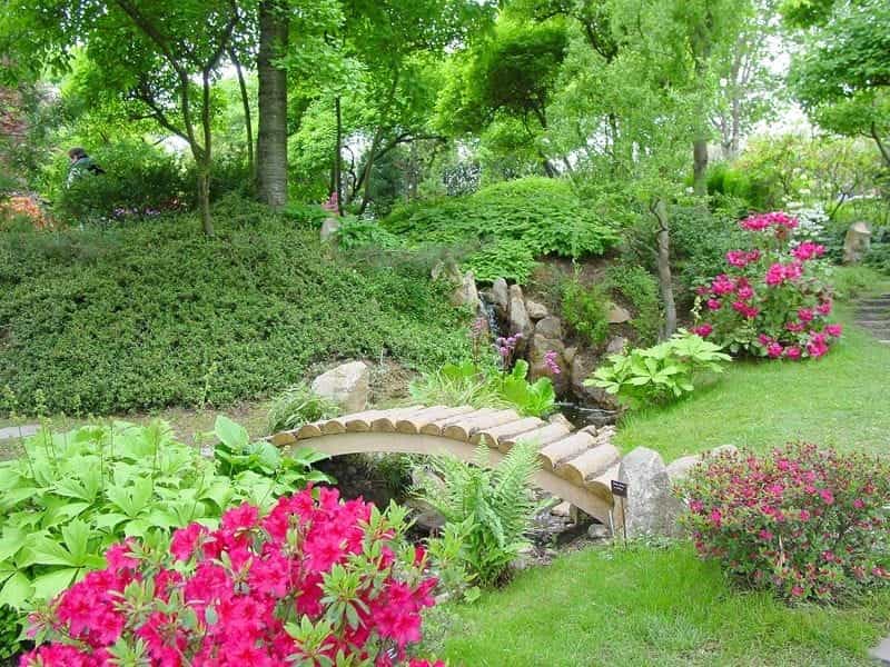 Garden ideas - small garden ideas - House  Garden