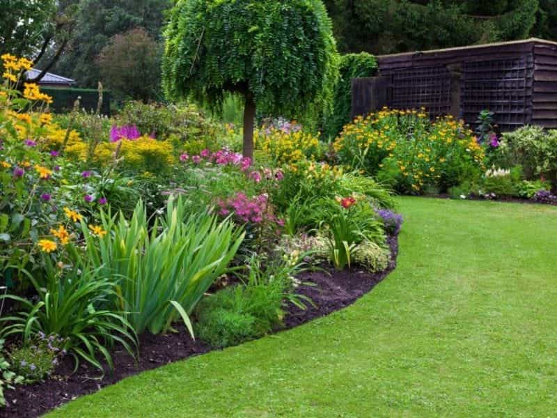 Garden landscaping ideas – 10 steps to landscape a garden from scratch -  Real Homes