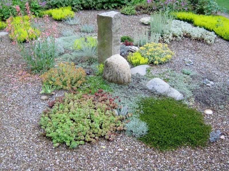 Gravel Garden Designs: Learn About Different Types Of Gravel Gardens