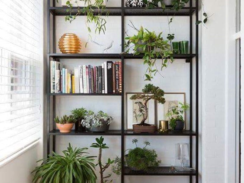 Hanging Plant Shelves – The Artful Roost
