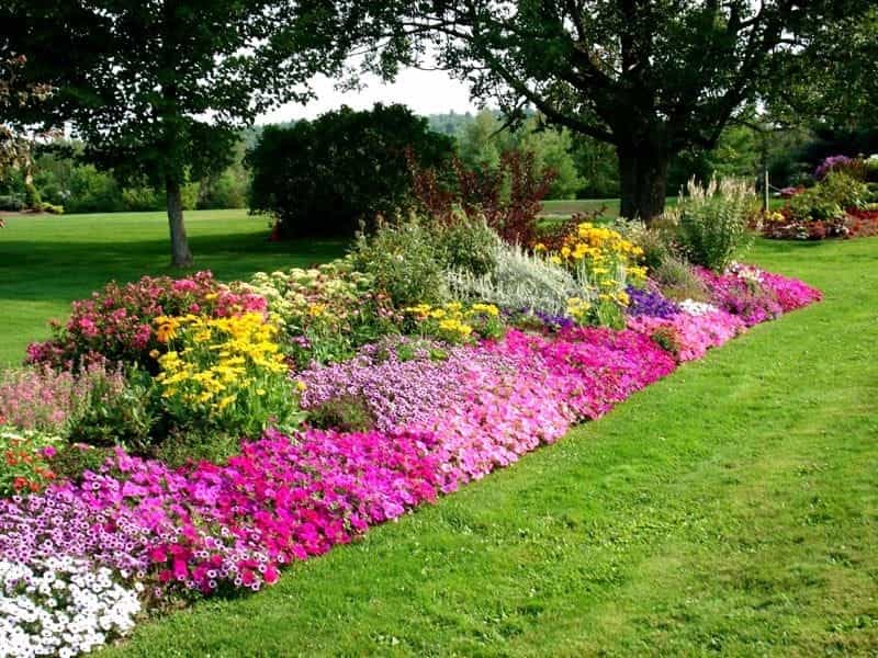 How To Build A Flower Bed - Starting A Flower Bed From Scratch - Gardening  Know How