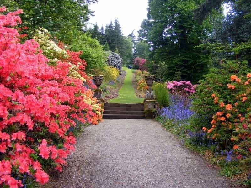 How to Design a Beautiful Flower Garden - Better Homes  Gardens