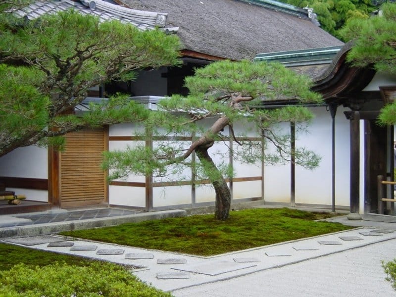 How to Make a Zen Garden