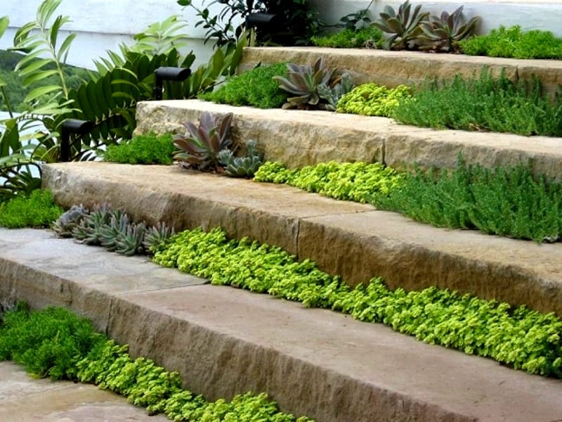 How you can design stairs in your garden in your outdoors space